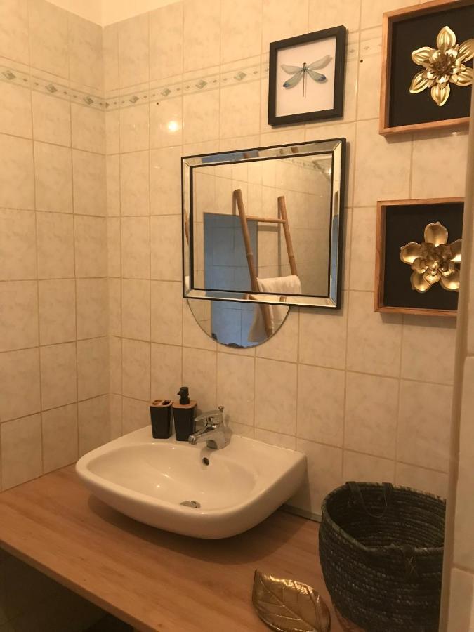 Appartement Cosy Le Safari Avec Wifi Annonay Exterior photo